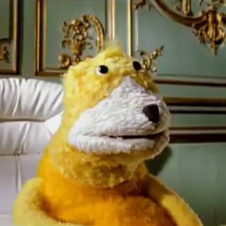 Saisir l'air du temps